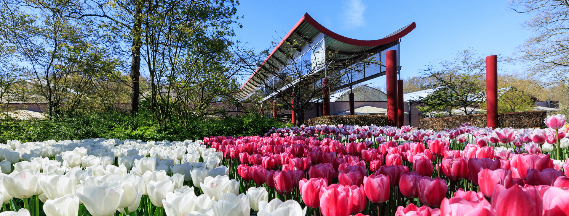 Keukenhof Holland spring season — Be-Mobile traffic management and in-car alerts via Flitsmeister